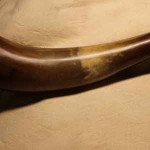 Powder Horn inspired by Hudson Bay