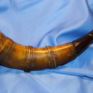 May include: A vintage powder horn with a dark brown tip and a light brown body. The horn is adorned with dark brown bands and a dark brown cap. The body of the horn has a slightly curved shape.
