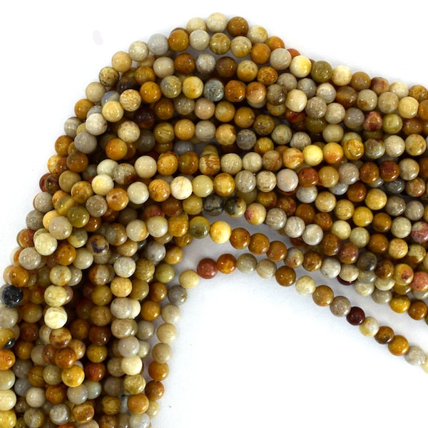 Natural Fossil Coral Round Beads Gemstone 15" Strand 4mm 6mm 8mm 10mm