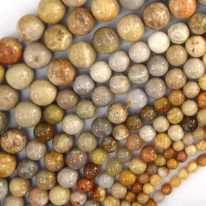 Natural Fossil Coral Round Beads Gemstone 14.5&quot; Strand 4mm 6mm 8mm 10mm