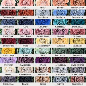 May include: A chart of 36 different colors of roses, each with a name label. The colors range from light blush to dark purple, with shades of blue, green, pink, red, yellow, and brown.