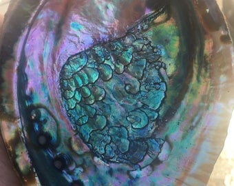 Abalone shell for Smudging or Crystals Sacred Space Altar Ceremony House Clearing