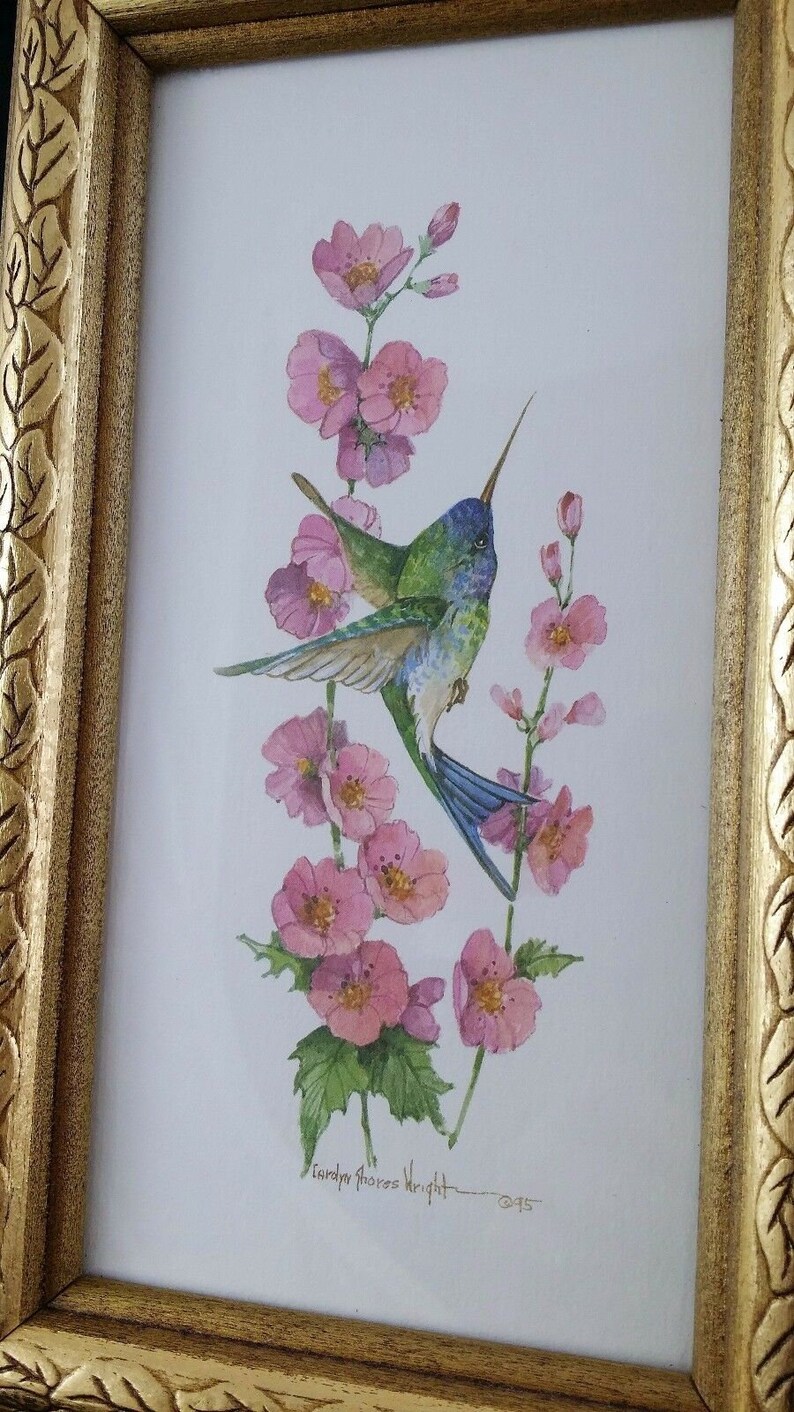 Download Vintage Carolyn Shores Wright Hummingbird Signed And Dated Watercolor Print Art Collectibles Watercolor 330 Co Il