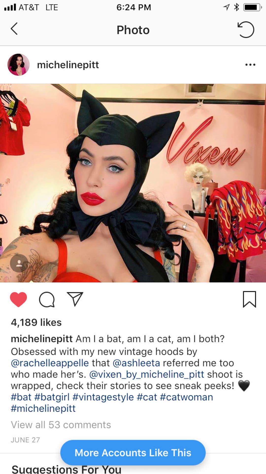 Bat Hood Cat Hood Vintage Bat Hood Bat Etsy