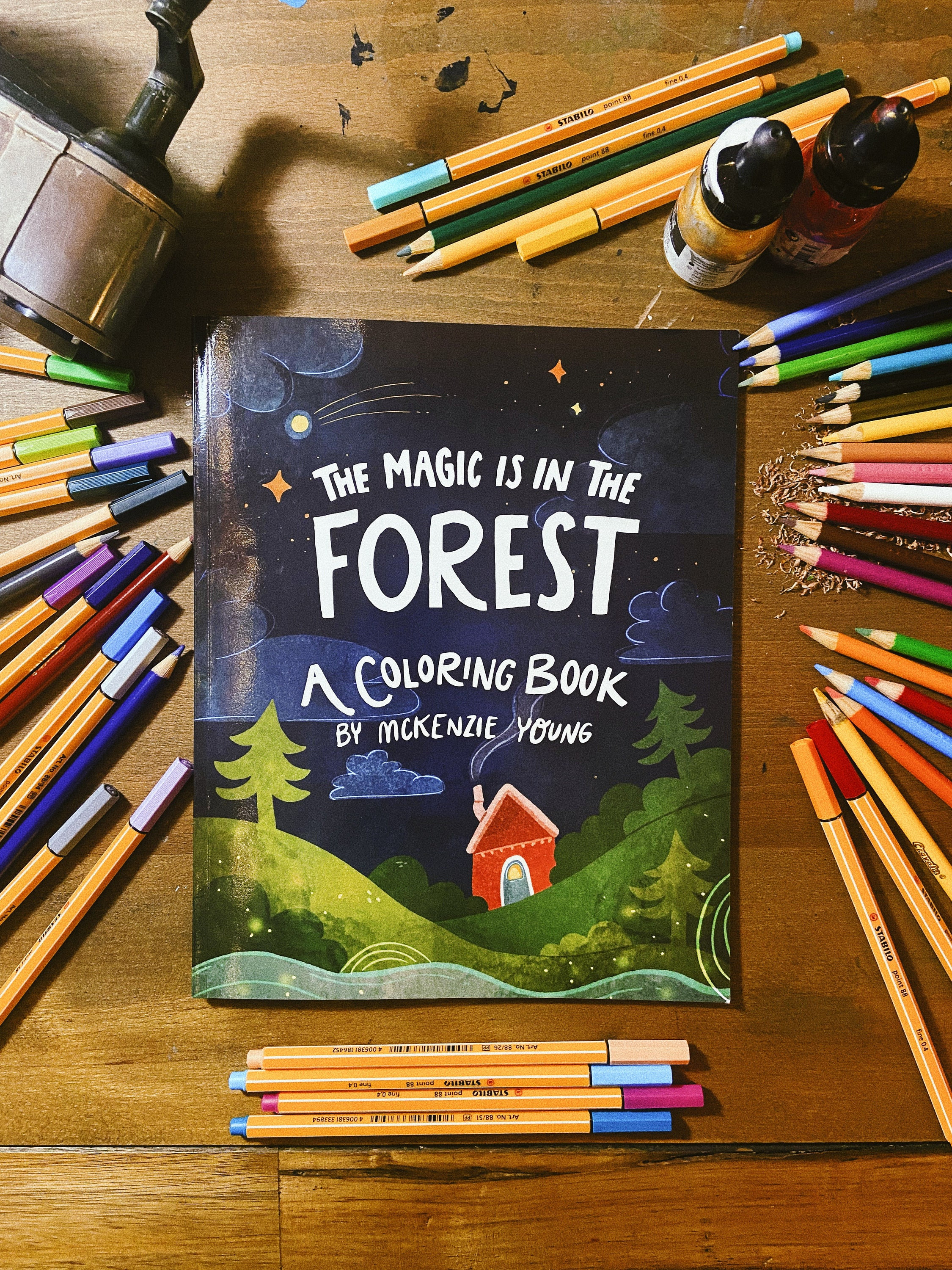 The Magic Is in the Forest: Enchanted Coloring & Activity Book (Paperback)