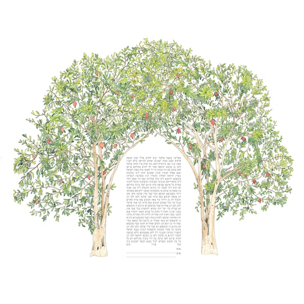 Pomegranate Tree Grove Ketubah