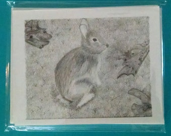 Bunny Rabbit Note card Set of 5