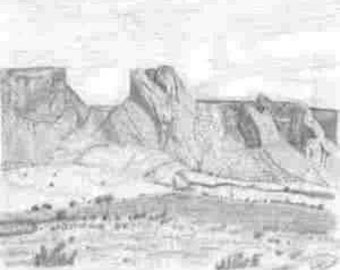 Desierto de Arizona