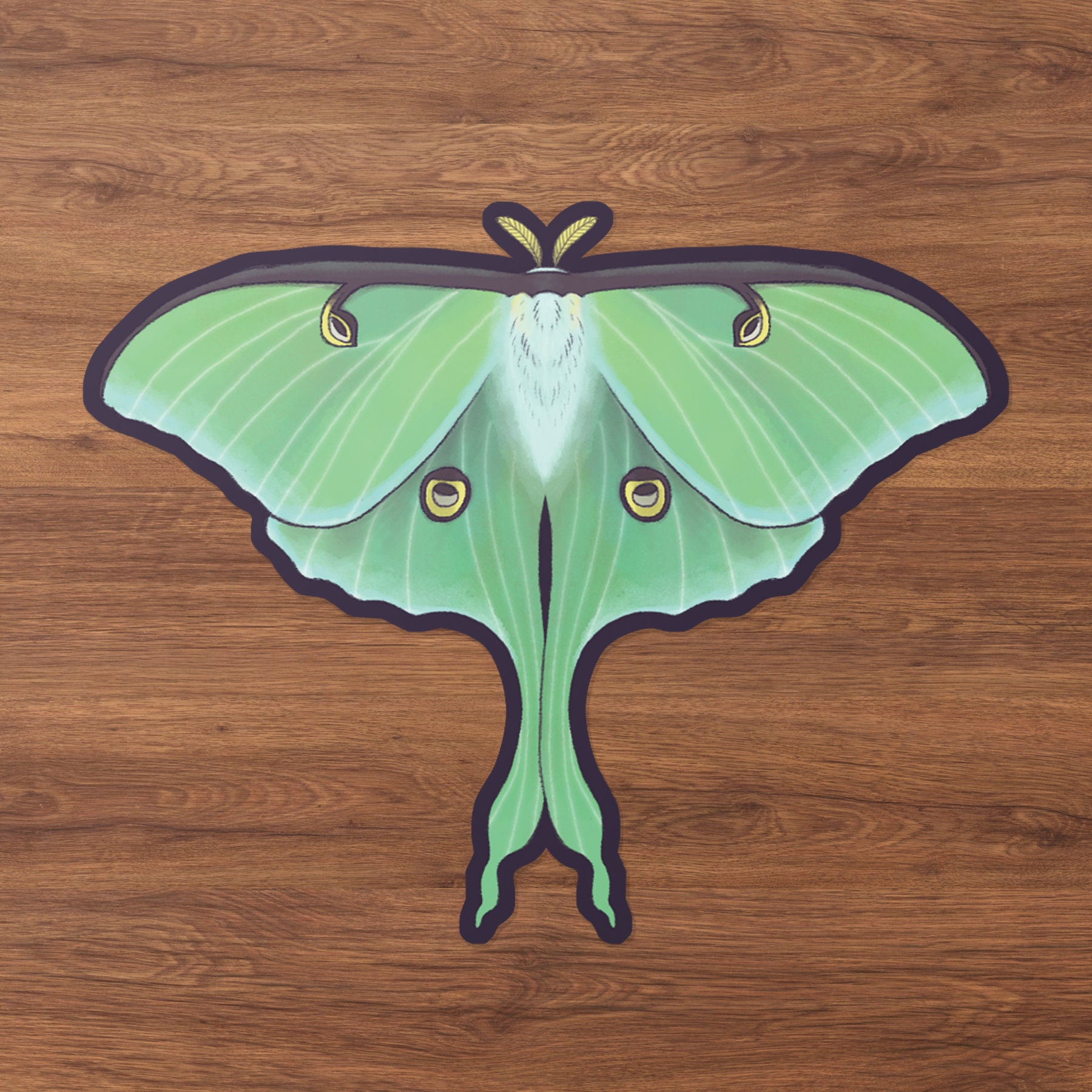 Vinyl Sticker - Luna Moth Decal - Etsy