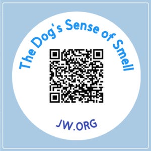 60 x L'odorat du chien - QR Code - Stickers JW
