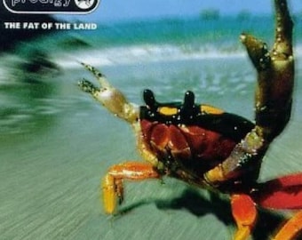 The Prodigy, The Fat Of The Land, CD, Vg plus fast neuwertigem Zustand