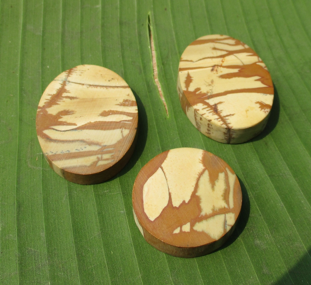 Owyhee Jasper Slabs From the Early 1970s. 3 Preformed Cabs. Round