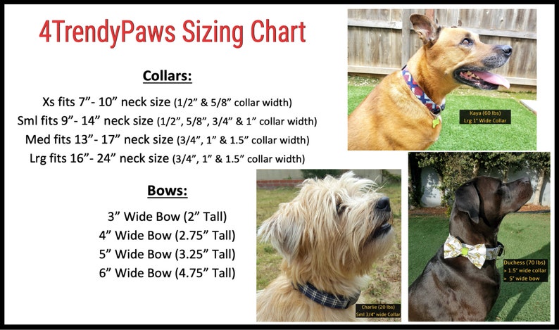 May include: A sizing chart for dog collars and bows. The chart shows different sizes for collars and bows, with corresponding measurements in inches. The chart also includes images of dogs wearing the collars and bows.