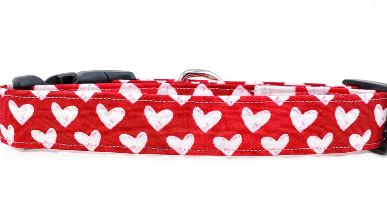 May include: Red dog collar with a white heart pattern.