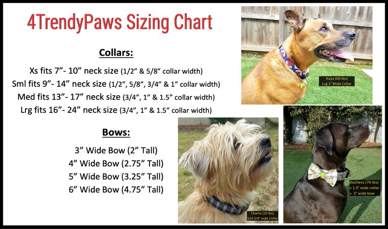May include: A sizing chart for dog collars and bows. The chart shows different sizes for collars and bows, with corresponding measurements in inches. The chart also includes images of dogs wearing the collars and bows.
