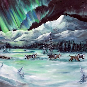 Northern lights, Aurora Borealis, Mt Denali, Mt Mckinley, the arctic, Snow, Alaskan scenes, Alaska, Big Dipper, sled dogs, dog teams, dogs