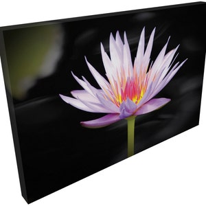 Blooming Water Lily Canvas Wrap Imprimer image 2