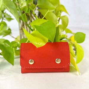 Hand dyed leather card holder
