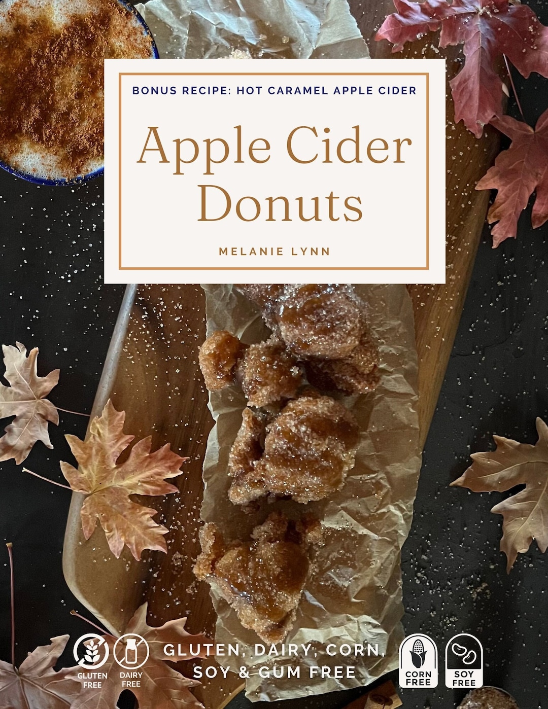 Gluten Free Apple Cider Donuts Dairy Free With Bonus Etsy
