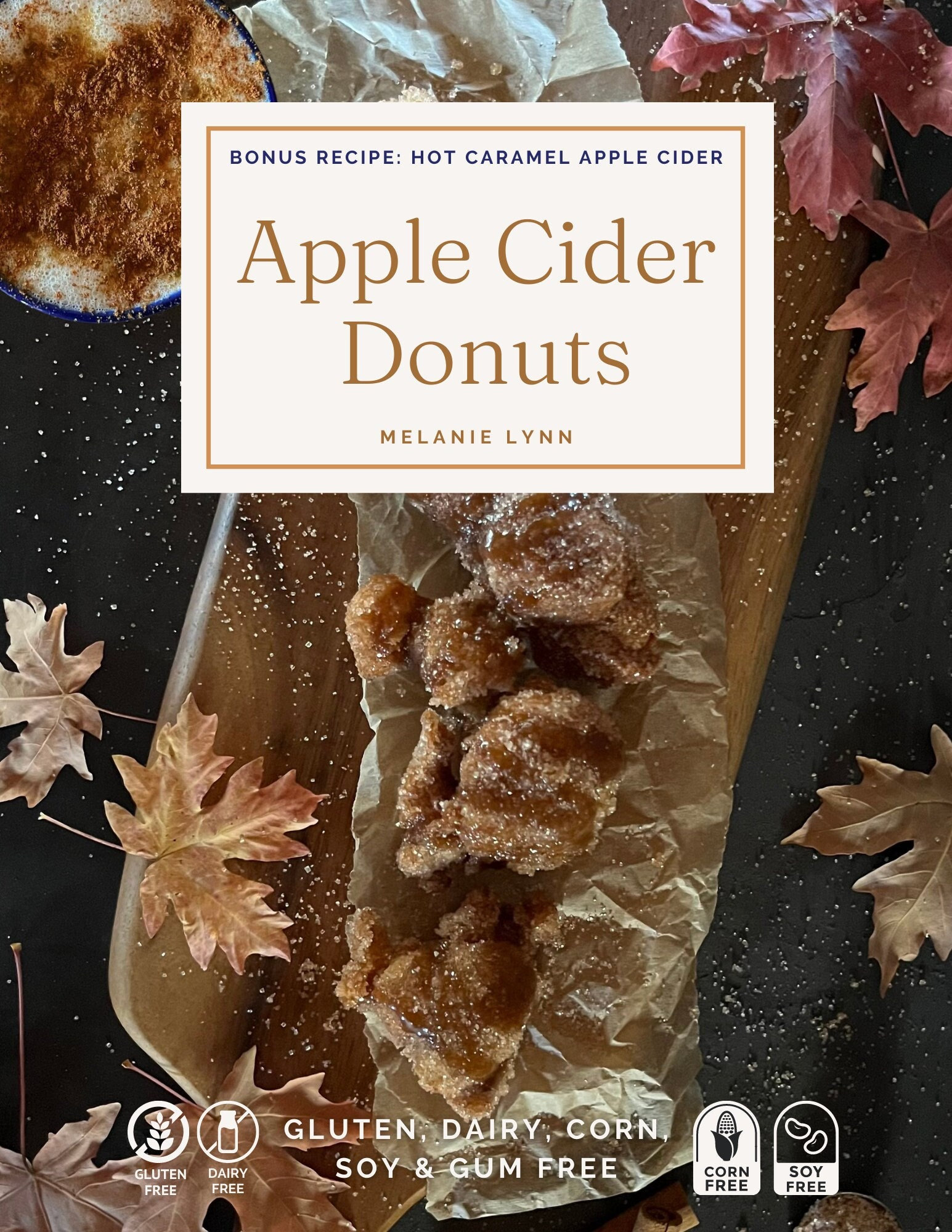 Gluten Free Apple Cider Donuts Dairy Free With Bonus Etsy