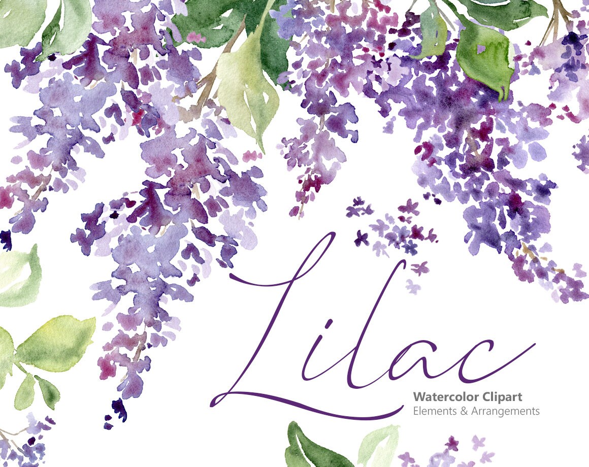 Watercolor Lilac Floral Clipart Purple Violet Flowers Bright | Etsy