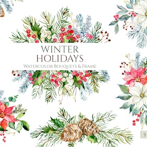 Buquês de Natal em aquarela e clipart de moldura de inverno Natal PNG Clip Art Poinsétia Flor Pinheiro Azevinho Bagas Ramos de abeto Uso comercial gratuito