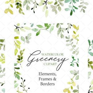 Aquarela Verdura Clipart Folhas Folhagem Ervas Ervas Verdes Molduras Fronteiras Salada Brilhante Esmeralda Clip Art Fresco Uso Comercial Livre PNG