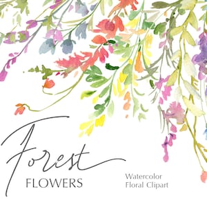 Aquarel bloemen clipart wilde weide bloemen wilde bloemen land bos zomer groen digitale download clip art gratis commercieel gebruik PNG