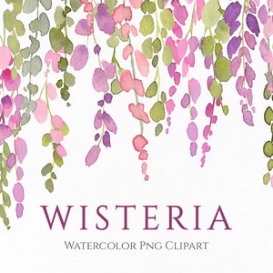 Akwarela Wisteria Kwiaty Clipart Różowy Fioletowy Fioletowy Kwiatowy Kropla Clip Art Ramka Bezszwowy Wzór Cyfrowe Pobieranie Darmowe Użytkowanie Komercyjne Png