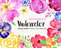 Watercolor flower clipart: 41 bright Branches, Flowers and Leaves, Aquarelle Digital Clip Art, watercolour Free Commercial Use PNG set product logo