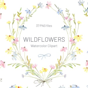 Aquarela Flores Silvestres Clipart Flores Prado Selvagem Floral Clip Art País Floresta Verão Verdura Digital Download Grátis Uso Comercial Png