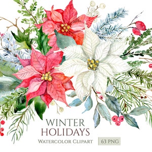 Acquerello Natale Inverno Clipart Poinsettia Fiori Bacche di pino Xmas Clip Art Elementi separati Uso commerciale gratuito Download digitale Png
