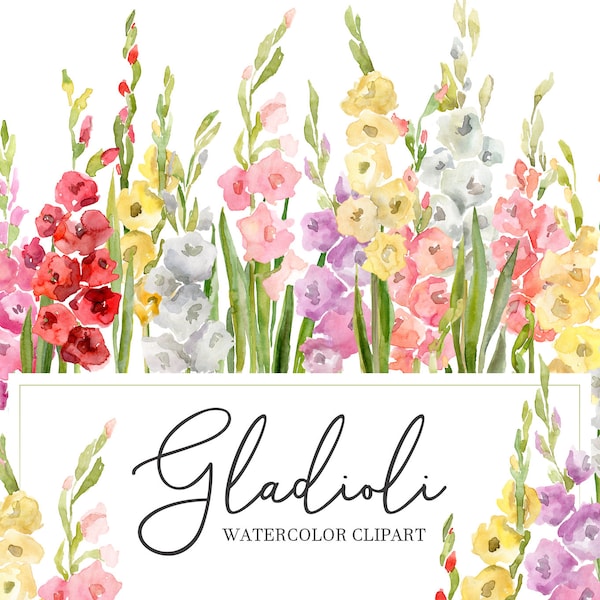 Watercolor Floral Clipart Gladioli Flowers Spring Summer Bright Gladiolus Clip Art Bouquet Wreath Digital Download Free Commercial Use Png