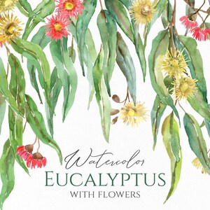 Aquarel Eucalyptus Bladeren Bloemen Clipart Frame Top Border Bruiloft Bloemen Clip Art Groen Gebladerte Digitale Download Gratis Commercieel Gebruik Png