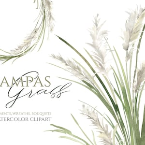 Aquarel Clipart Pampas Gras Wit Groen Groen Bloemen Bloemen Heldere Bruidsboeket Krans Clip Art Gratis Commercieel Gebruik Aquarelle PNG