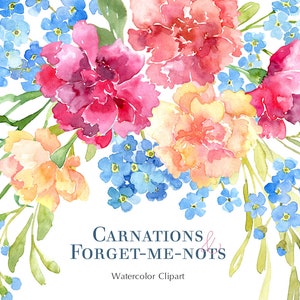 Clipart floral aquarelle oeillets & fleurs myosotis en téléchargement numérique Bouquet guirlande oeillets myosotis gratuit usage commercial Png