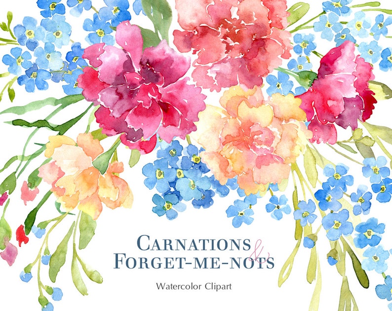 Watercolor Floral Clipart Carnations /& Forget Me Not Flowers Digital Download Bouquet Wreath Carnation Forget-Me-Not Free Commercial Use Png