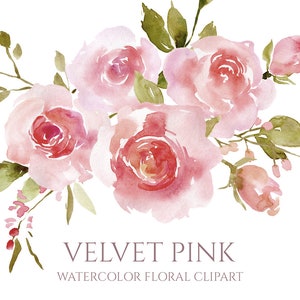 Aquarel Blush bloemen Clipart digitale Download bruiloft roze fluwelen rozen boeket bloemen Clip Art aquarel gratis commercieel gebruik PNG