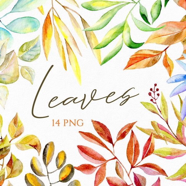 Watercolor Leaves & Branches Clipart Colorful Foliage Digital Download (Brown Green Orange Red Blue Yellow) Clip Art Free Commercial Use PNG