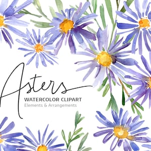 Aquarela Floral Clipart Asters Violet Flowers Clip Art Digital Download Casamento Roxo Florals Grinalda Bouquet Drop Free Commercial Use Png