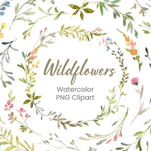 Aquarel wilde bloemen weide kruiden planten bloemen clipart bloemenkrans boeket clip art digitale download bruiloft gratis commercieel gebruik png