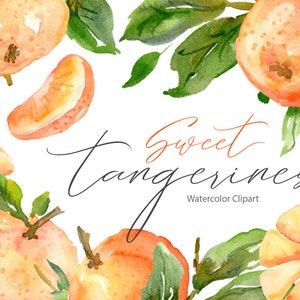 Watercolor Tangerines Clipart Orange Mandarin Clementine Fruit Citrus Clip Art Digital Download Bright Green Leaves Free Commercial Use Png