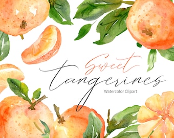 Watercolor Tangerines Clipart Orange Mandarin Clementine Fruit Citrus Clip Art Digital Download Bright Green Leaves Free Commercial Use Png