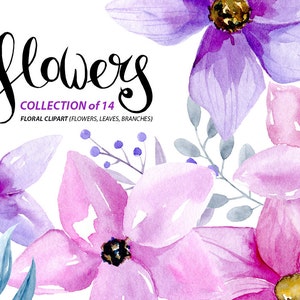 Clipart di fiori ad acquerello: 14 fiori viola e rosa, ClipArt digitali Aquarelle, clipart floreali boho ad acquerello per uso commerciale gratuito