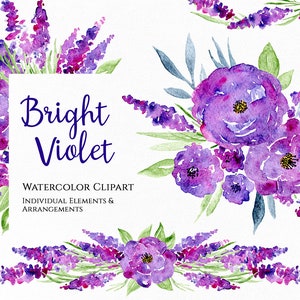 Aquarell Blumen Clipart Rosen Lavendel Hell Violet Lila Blumen Clip Art Blumenstrauß Kranz Rahmen Digitaler Download Kostenlose Kommerzielle Nutzung Png