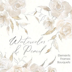 Aquarel bloemen clipart romig beige neutraal lichtbruin bloemen rozen digitale download zachte boho bruiloft illustraties gratis commercieel gebruik, png