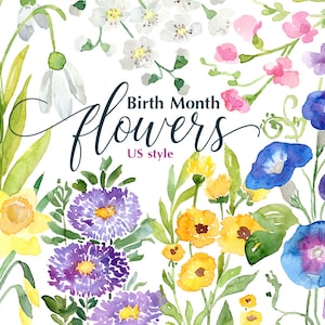 Naissance aquarelle mois fleurs Clipart Floral Clip Art US Style téléchargement numérique Anniversaire fleurs bouquet de fleurs sauvages usage commercial gratuit PNG