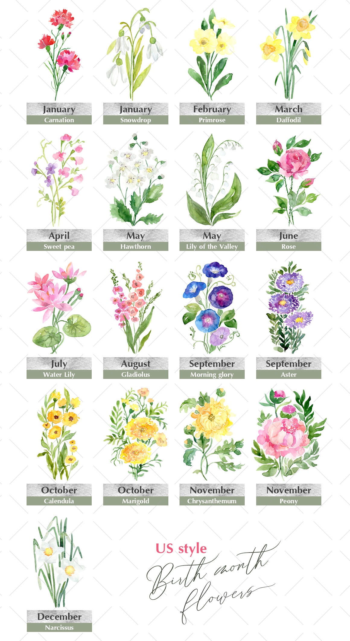 Watercolor Birth Month Flowers Clipart Floral Clip Art US Etsy Canada