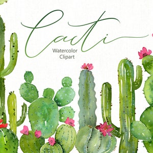 Aquarela Cactos Clipart Cacto Verde Clip Art Suculenta Deserto Tropical Oásis Plantas Verdes Uso Comercial Gratuito Digital Download Png