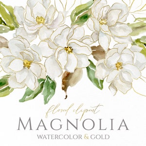 Aquarela branca magnólia floral clipart com linhas douradas flores clip art casamento dourado luz linha arte buquê guirlanda uso comercial gratuito
